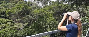 Birdwatcher with binoculars in the forests of Brazil