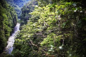 waterfall in the forest in Peru