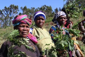 Group of women with seedlings